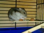 14022010441.jpg
