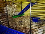 13012010315.jpg