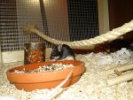 DSC02951.jpg