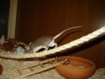 DSC02942.jpg