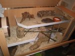 Foto0044.jpg