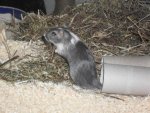 2010-02-28_20-07-13_113726.jpg