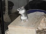 2010-02-28_20-08-35_113726.jpg