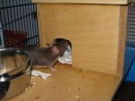 IMG_0512.jpg