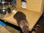 IMG_0513.jpg
