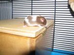 IMG_0523.jpg