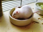 DSC00067.jpg