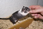 DSC04861.jpg