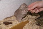 DSC04863.jpg