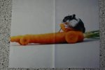 DSC04866.jpg