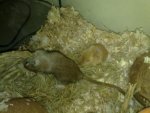 14032010194.jpg