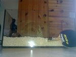 17032010200.jpg