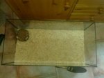 17032010202.jpg