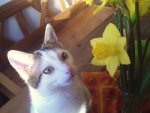 DSC00466 - Kopie.JPG