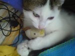 DSC00463.JPG