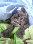 DSC00635.JPG