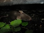 IMG_0669.jpg