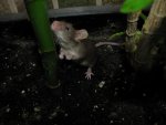 IMG_0670.jpg