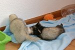 IMG_5912.jpg