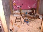 Punky,Bärchen,Mäuseeeeeee.! 068.jpg
