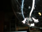 DSCN2378.jpg