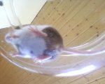 Foto-0035.jpg