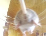 Foto-0037.jpg