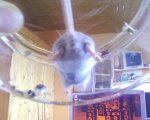 Foto-0038.jpg