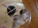 DSCN2390.jpg