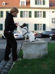 DSC08497.jpg