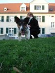 DSC08520.jpg