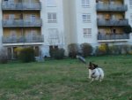 DSC08532.jpg