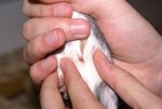 DSC04984.jpg
