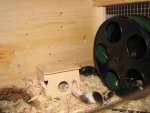 2010-04-13 085.jpg
