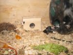 2010-04-13 083.jpg