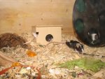 2010-04-13 080.jpg