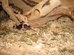 2010-04-13 074.jpg