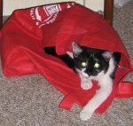 IMG_1685.JPG