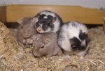 DSC05163.JPG