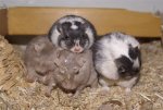 DSC05164.JPG