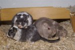 DSC05169.JPG
