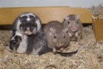 DSC05171.JPG