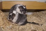 DSC05187.JPG