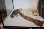 IMG_3693.jpg