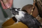 DSC05267.jpg