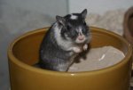 DSC05269.jpg