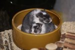 DSC05279.jpg