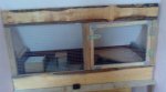 DSC03917.jpg