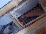 DSC03918.jpg