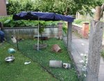 IMG_3919.jpg